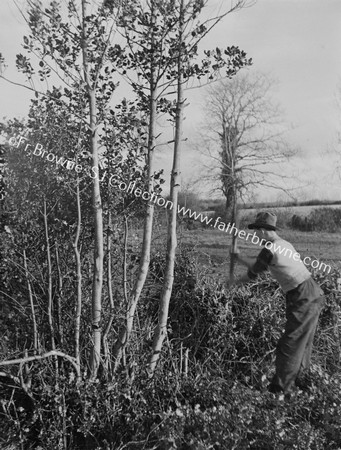 FORESTRY MAN AT WORK